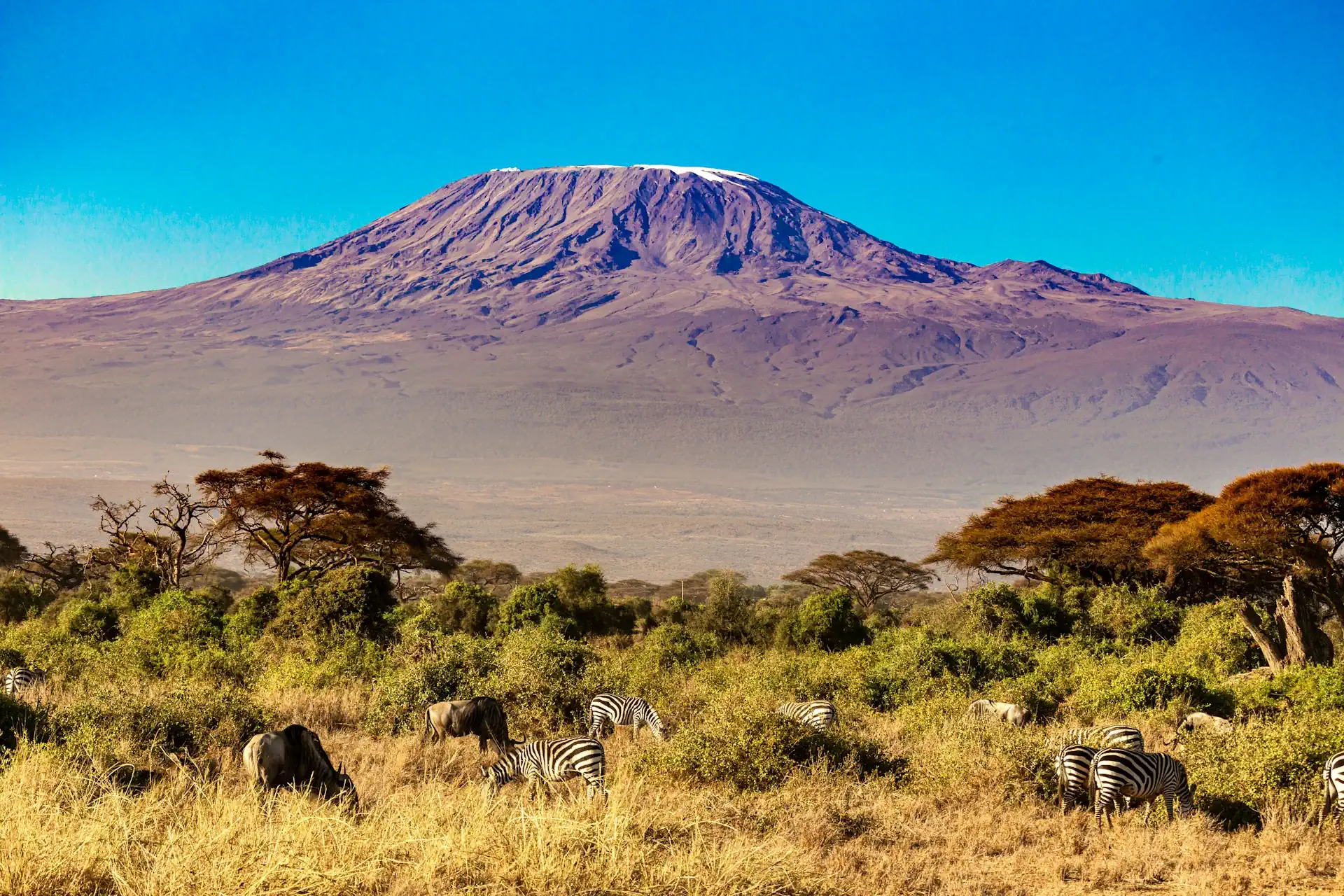 Kilimanjaro Route Map