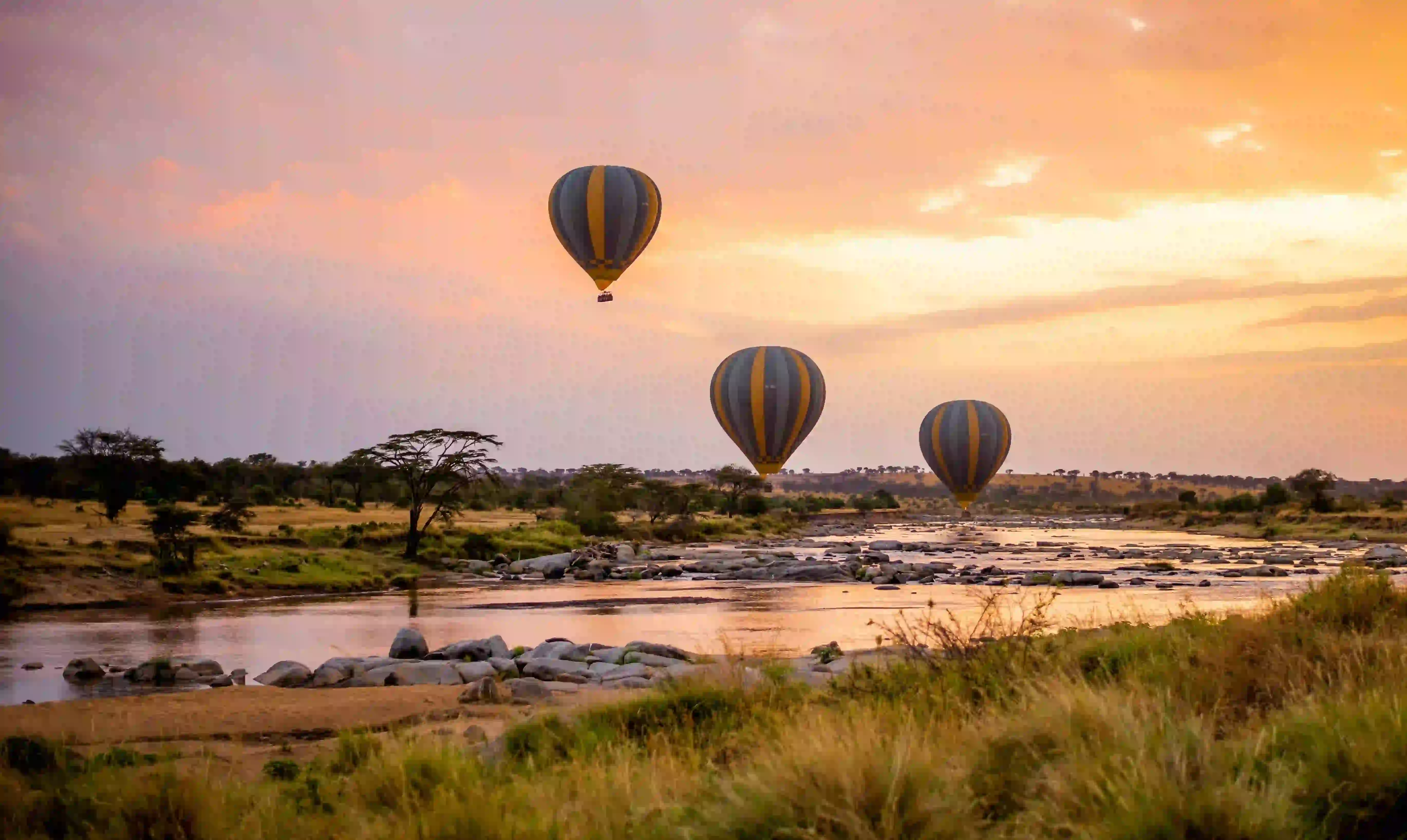 Serengeti Endless Plains