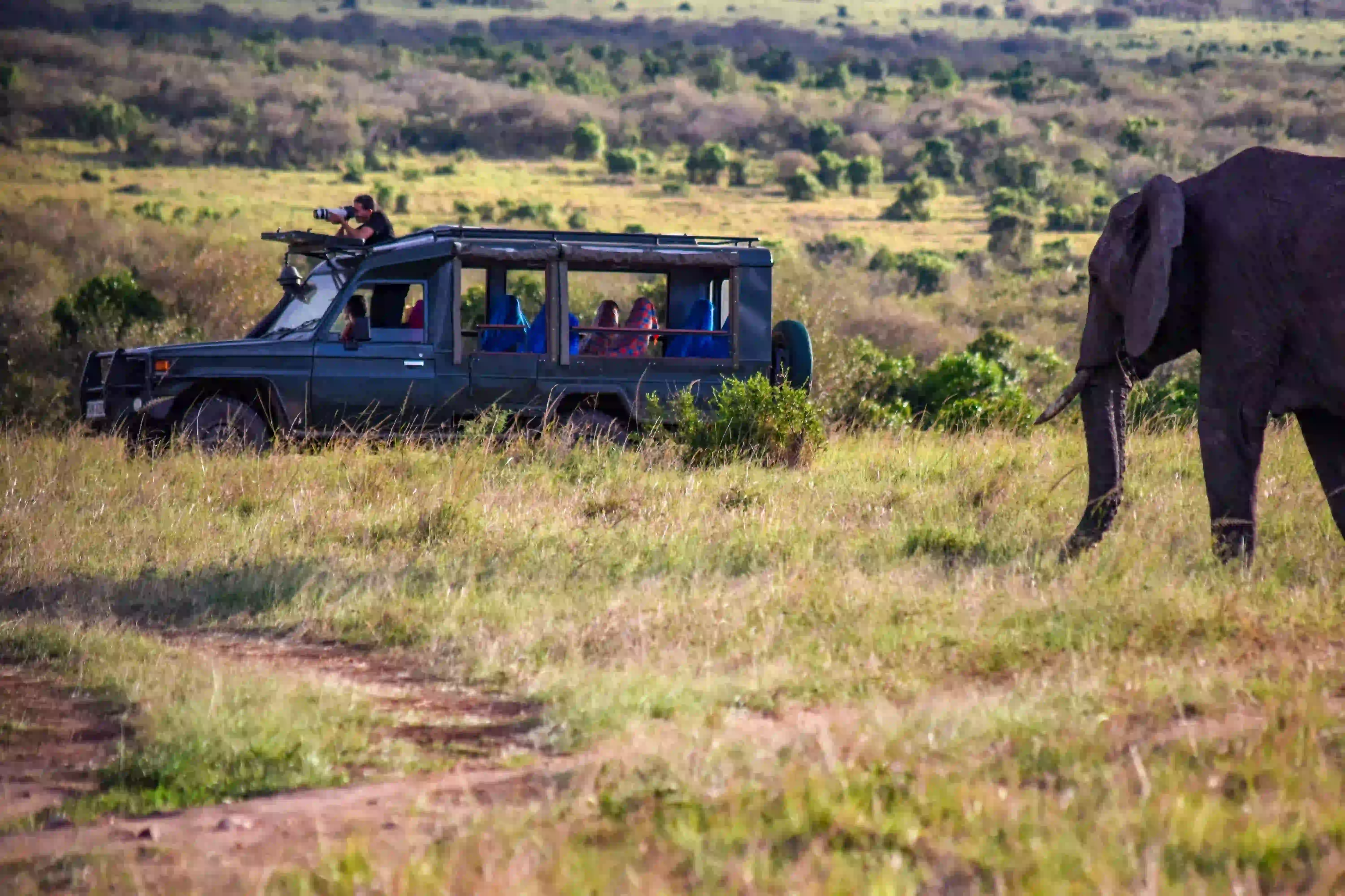 2 Day Tarangire & Ngorongoro