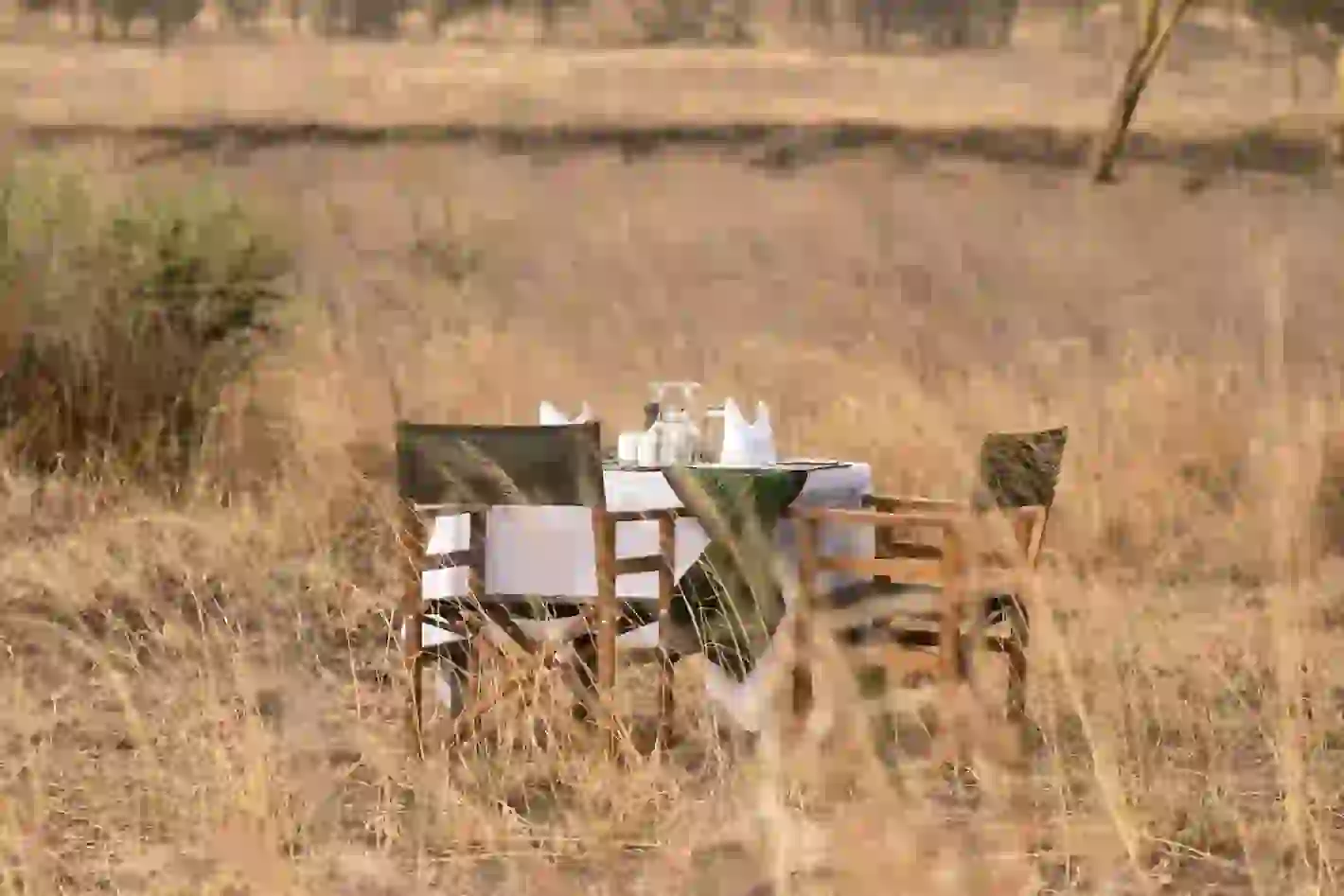 Luxury Safari