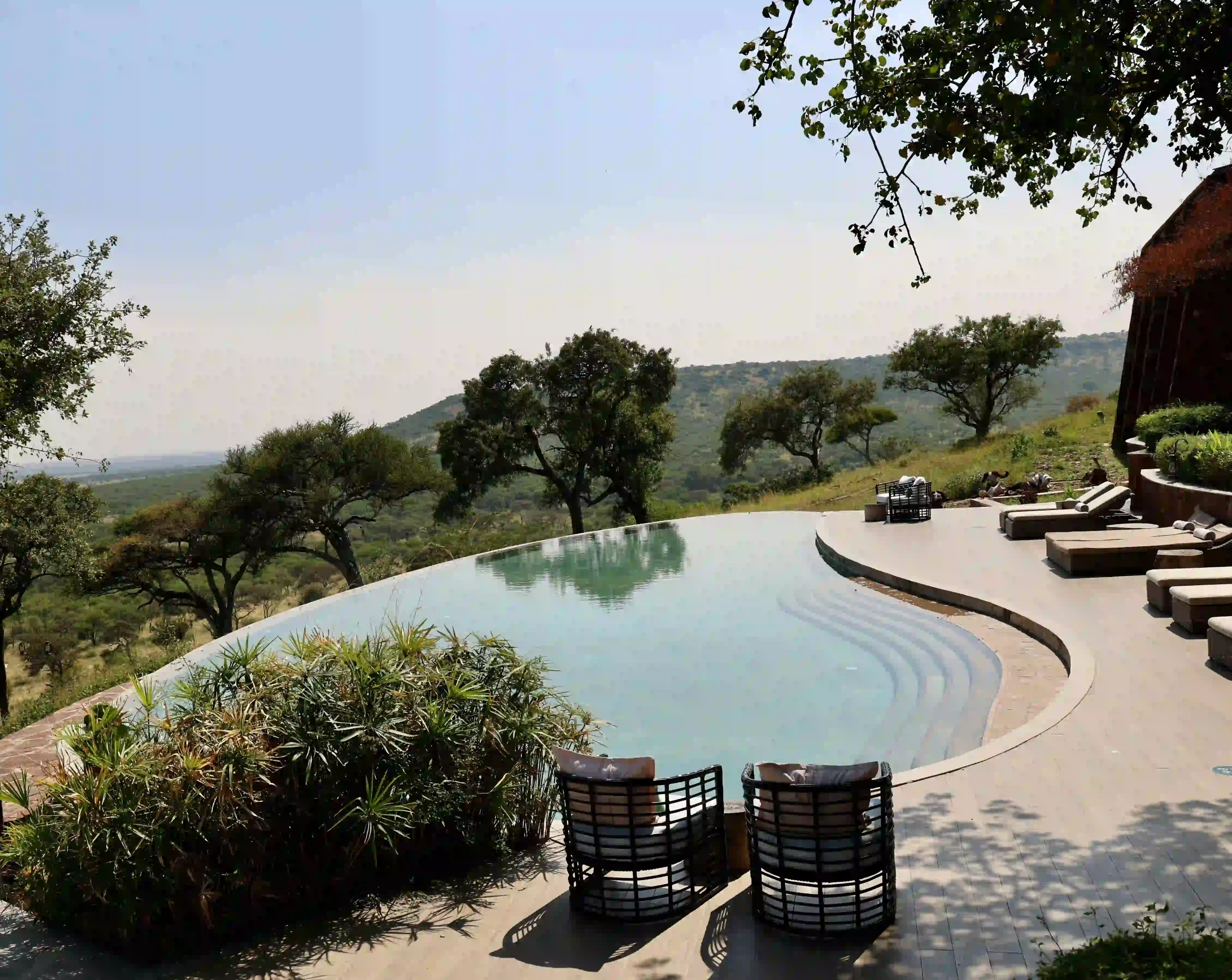 Luxury Safari Experience