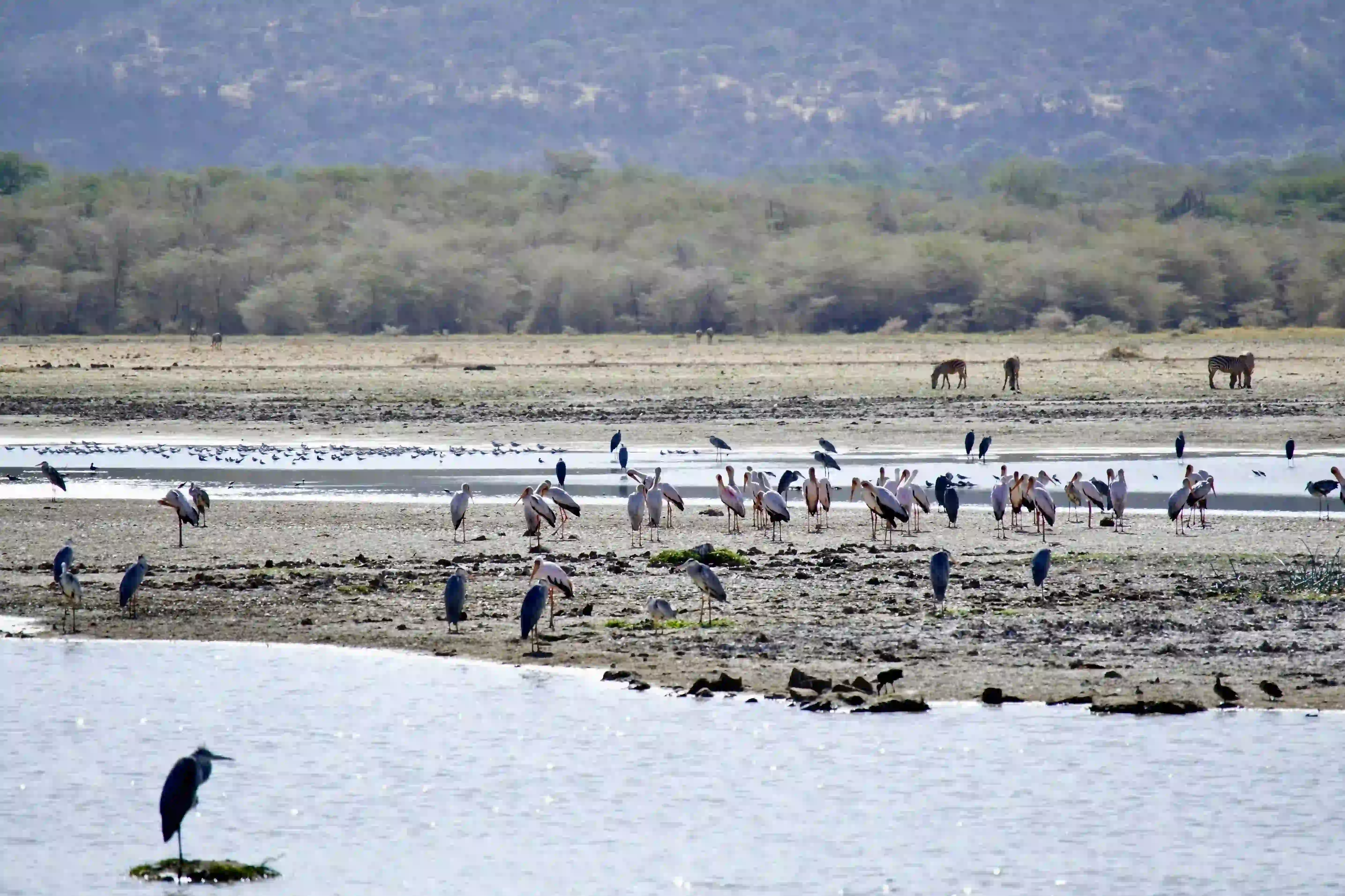 Lake Manyara