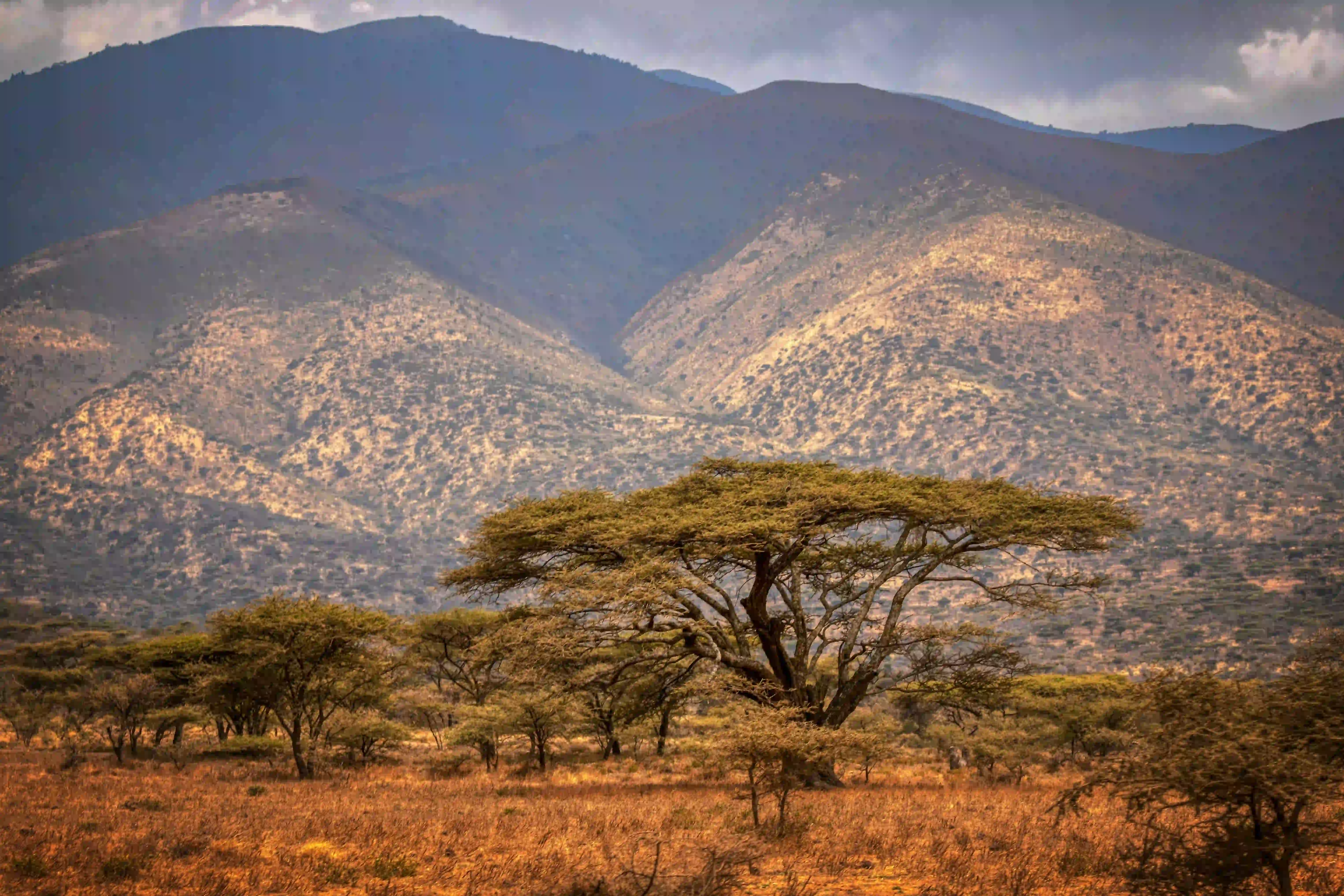Ngorongoro Crater