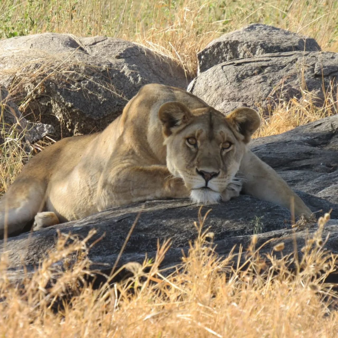 6 Day Complete Northern Circuit