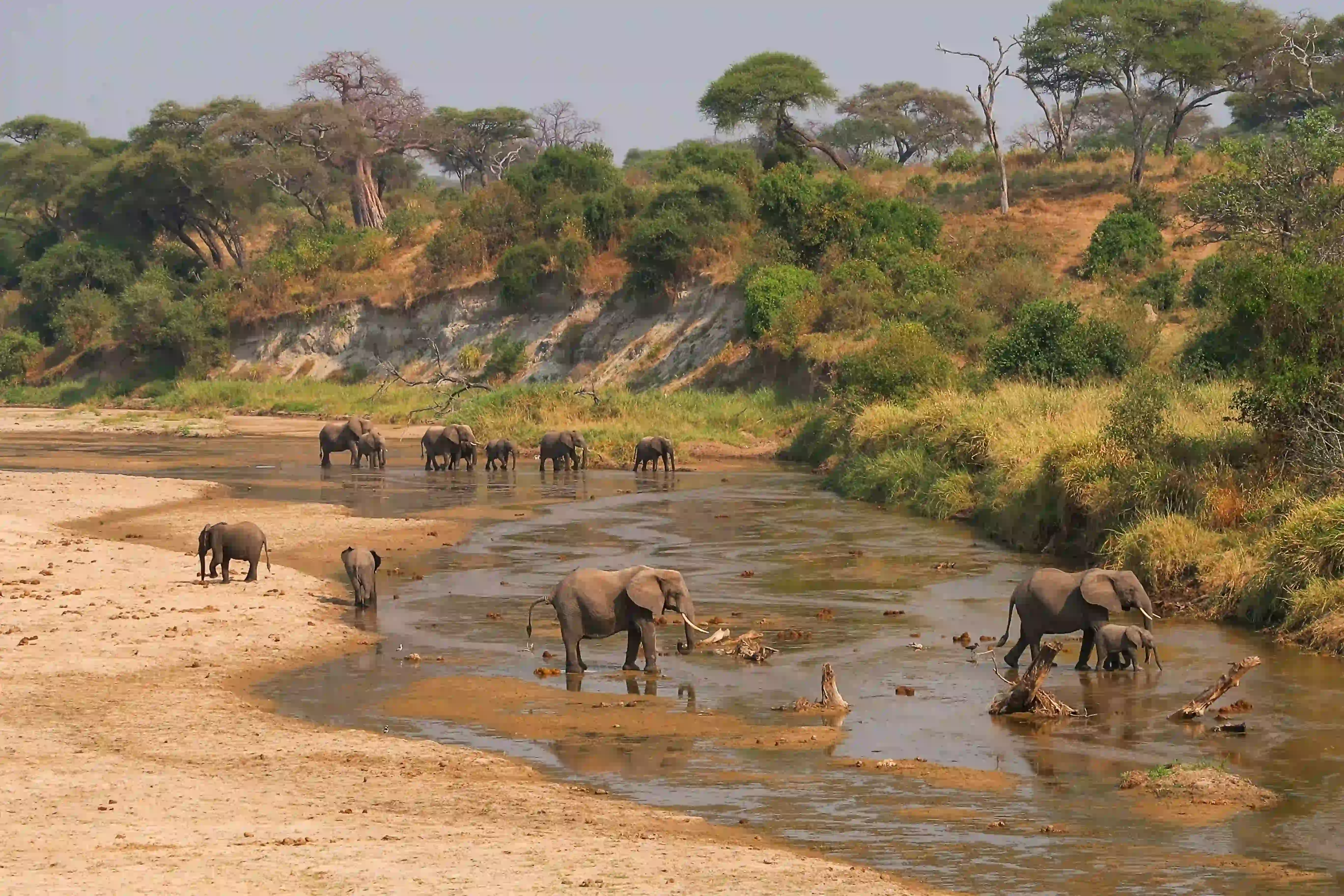 10 Day Ultimate Safari
