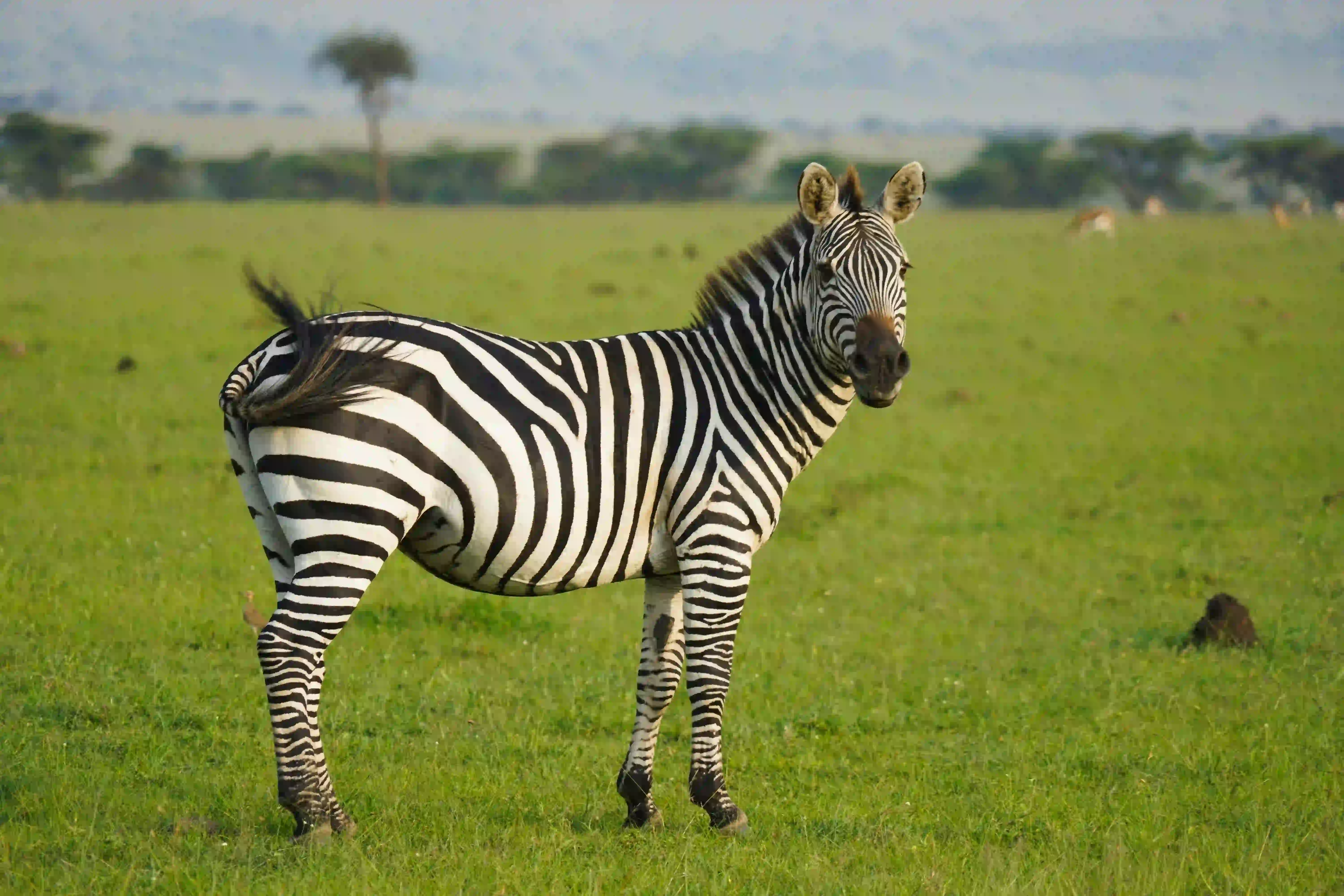 Lake Manyara